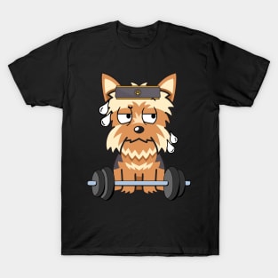 Funny yorkshire terrier is exercising T-Shirt